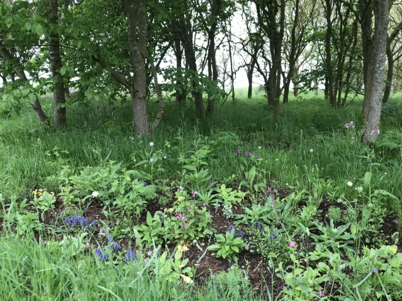 Action for Climate and Environment Newburgh-11